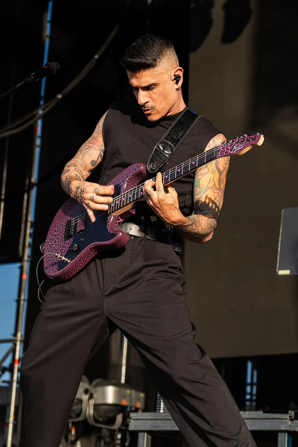 Photo of Pignoise