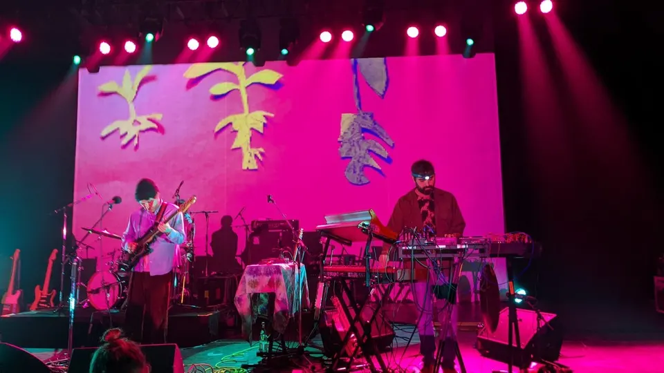 Geologist, con una linterna frontal encendida, toca sintetizadores y teclados junto a Avey Tare, que toca la guitarra, en un escenario bañado de luz rosa con plantas proyectadas al fondo