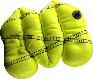 Mediterranea Roses 2025