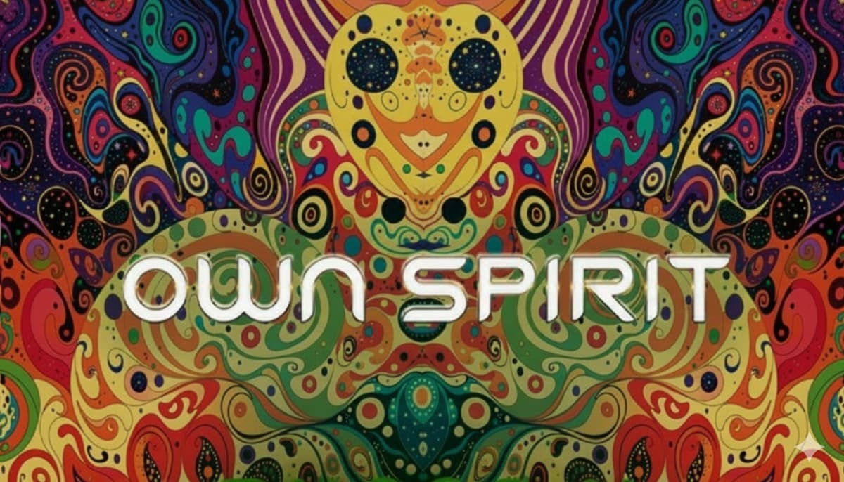 Own Spirit Festival Baldellou