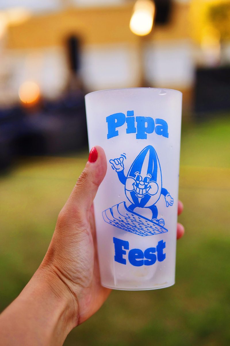 Ambiente y público en Pipafest en Villada
