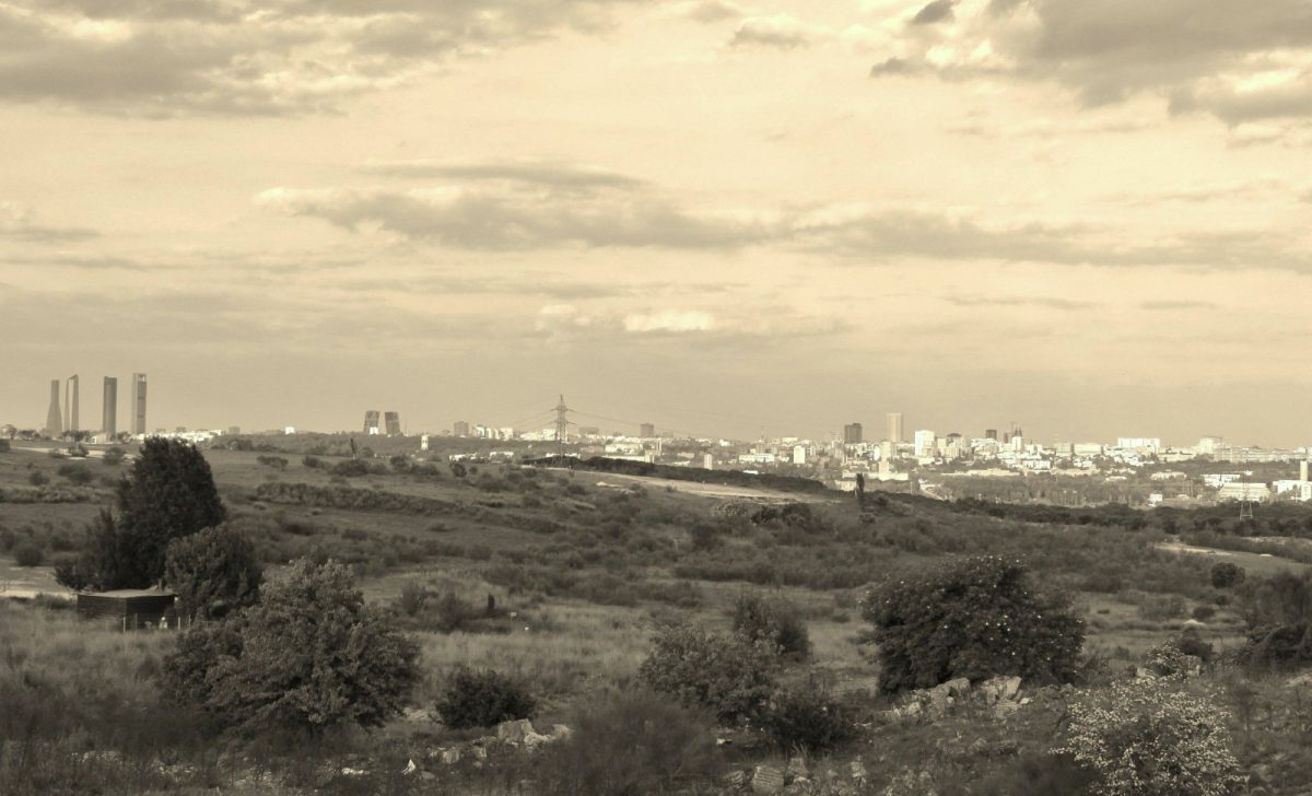 Skyline de Madrid con los rascacielos al fondo